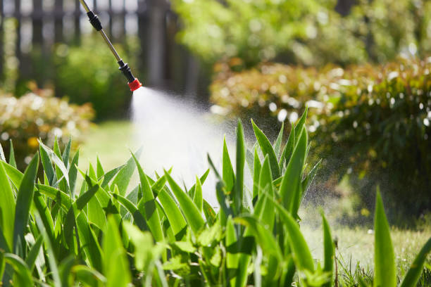 24/7 Emergency Mosquito Control experts in Three Rivers, TX