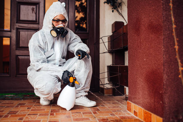 Reliable Mosquito Control contractor in Three Rivers, TX by Show Me Pest Control